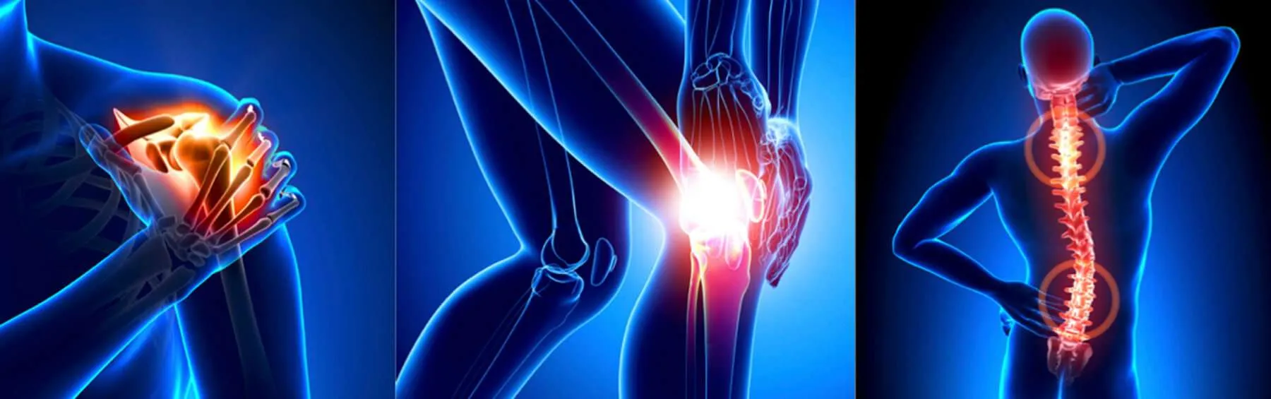Anatomical illustrations highlighting shoulder, knee, and spine pain areas